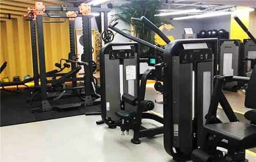 户外健身器材舒扬文体用品推荐商家